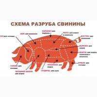 Компанія реалізує оптом на постійній основі заморожену свинячу обробку