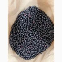 Куплю Аронія (чорноплідна горобина)