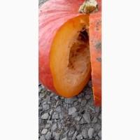 Продам гарбузи столові