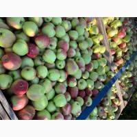 Продам соціальне яблуко