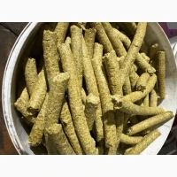 Макуха гарбузова