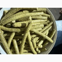 Макуха гарбузова