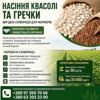Насіння білої квасолі та гречки - продаж