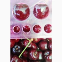 Продам черешню сорт Лапинс