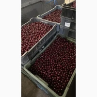 Продав вишню