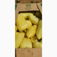 Продам товарний перець