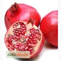 Продам гранат из Египта