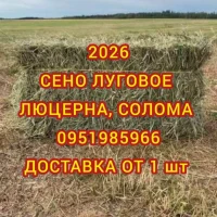 Сено, солома с доставкой по Украине. В тюках, мешках. Поштучно / опт