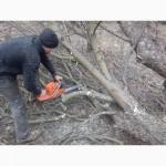 Расчистка участка Киевская область