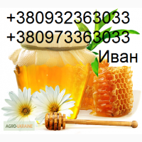 Куплю мед та пилок оптом, ДОРОГО, по всій Україні