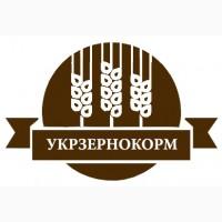 Купим горох жовтий