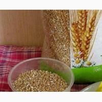 Продам крупу пшеничную