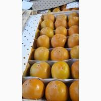 Свежая хурма из Узбекистана
