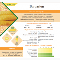 Продам! Надцукрові гібриди кукурудзи із різними сроками дозрівання