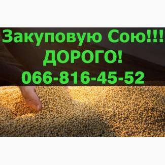 Куплю на постійній основі СОЮ!Під контракт