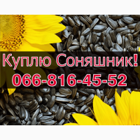 Куплю СОНЯШНИК за високою ціною!Доступні сушка/зберігання зернових