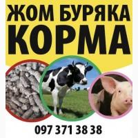 Продам жом буряка гранула/стружка