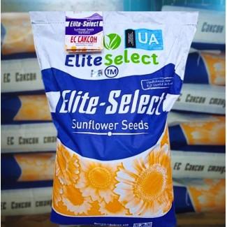 Насіння соняшника ЕС Саксон, 115-120 днів, фр. Екстра