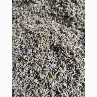 Сухі трушені квіти гібриду лаванди (лавандин) у роздріб та оптом