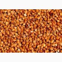 Гречка оптом. Постійна наявність