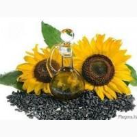 Куплю Соняшник по всій Україні Дорого Самовивіз