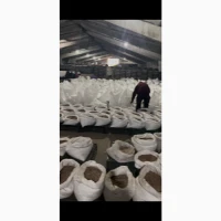 Повітряна бульба часнику