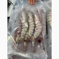 Wholesale seafood supplier Mauritania fishing coast Nouadhibou fishing harbor Nouakchot