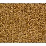 Куплю гірчицю жовту, білу, чорну