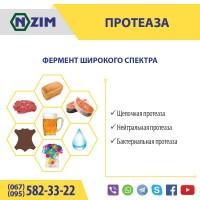 Протеаза щелочная бактериальная и грибная