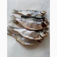 Продам вяленую плотву