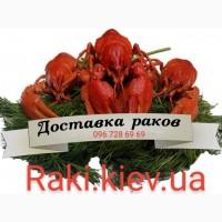 Закупаем Раки оптом