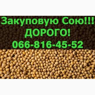 На постійній основі купуємо СОЮ!Великі контракти