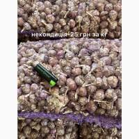 Пропоную однозубку