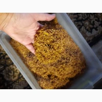 Вірджинія, Берлі, Мальборо, Капітан блек!!! Якісний тютюн