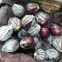 Продам капусту червоно качану