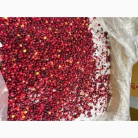 Продам заморожену журавлину