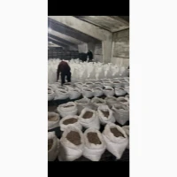 Воздушка чеснока однозубка