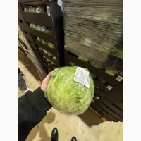 Салат Айсберг