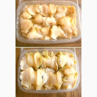 Черноморская мидия живая, свежая, прямо с моря. Крупный размер