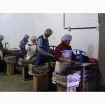 Прямые поставки чернослива из Аргентины