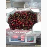 Продам черешню сорт дебют оптом в хорошам качистве поставка под заказ цена