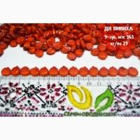 Семена кукурузы ранняя ДН Пивиха ФАО –180