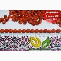 Семена кукурузы ранняя ДН Пивиха ФАО –180