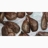 Продам Бобровая Струя