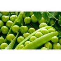 Cемена гороха Оплот, 1 репродукция