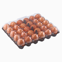 Лотки для куриных яиц (ПЭТ) на 6, 10, 12, 15, 18, 20, 30 ячеек от производителя
