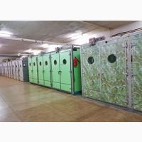 Инкубационныем яйца КОББ 500, РОСС 308.Лучшее предложение сезона