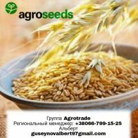 Продам ячмень Вакула. Посевной материал. Агротрейд/Agroseeds