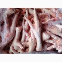 Chicken feet CIF China