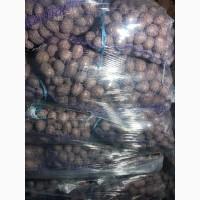 Продам насіневу картоплю сорт Белароса Рівєра Арізона Есмі.а, 2 і 3 репродукція